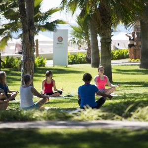 Acanthus Cennet Barut Collection